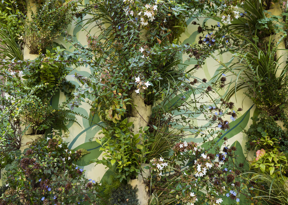 Terrazzo Catia Forlì